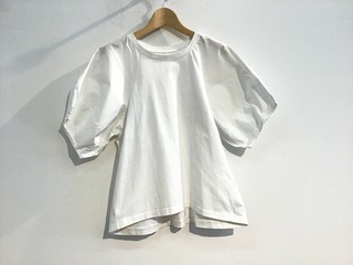 IMG_0988.jpeg
